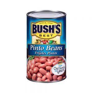Bush's Best Pinto Beans, 16 oz